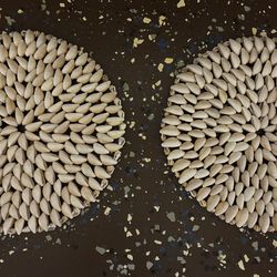 Set of 2 Shell Countertop Trivets