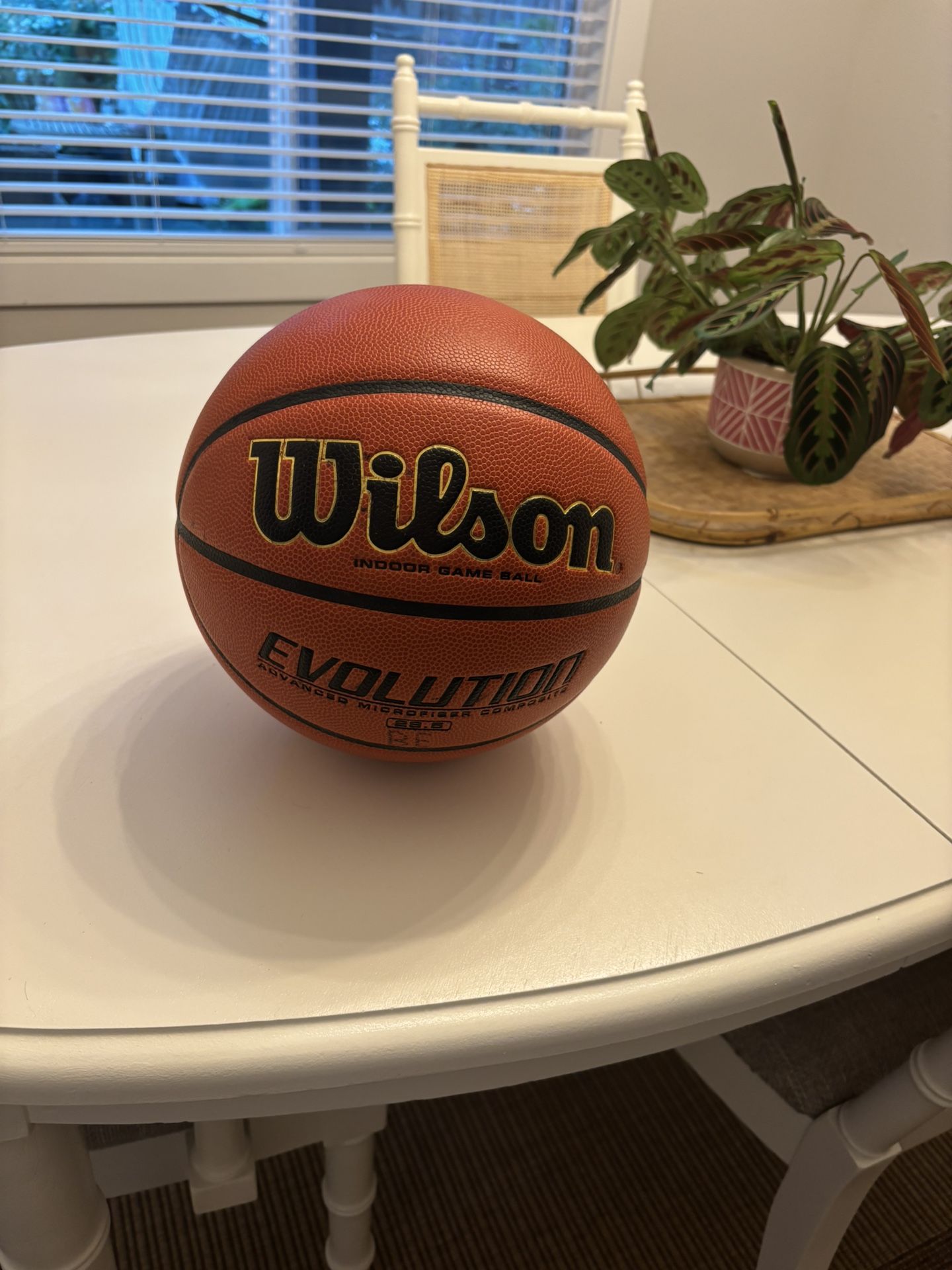 Wilson Evolution 28.5