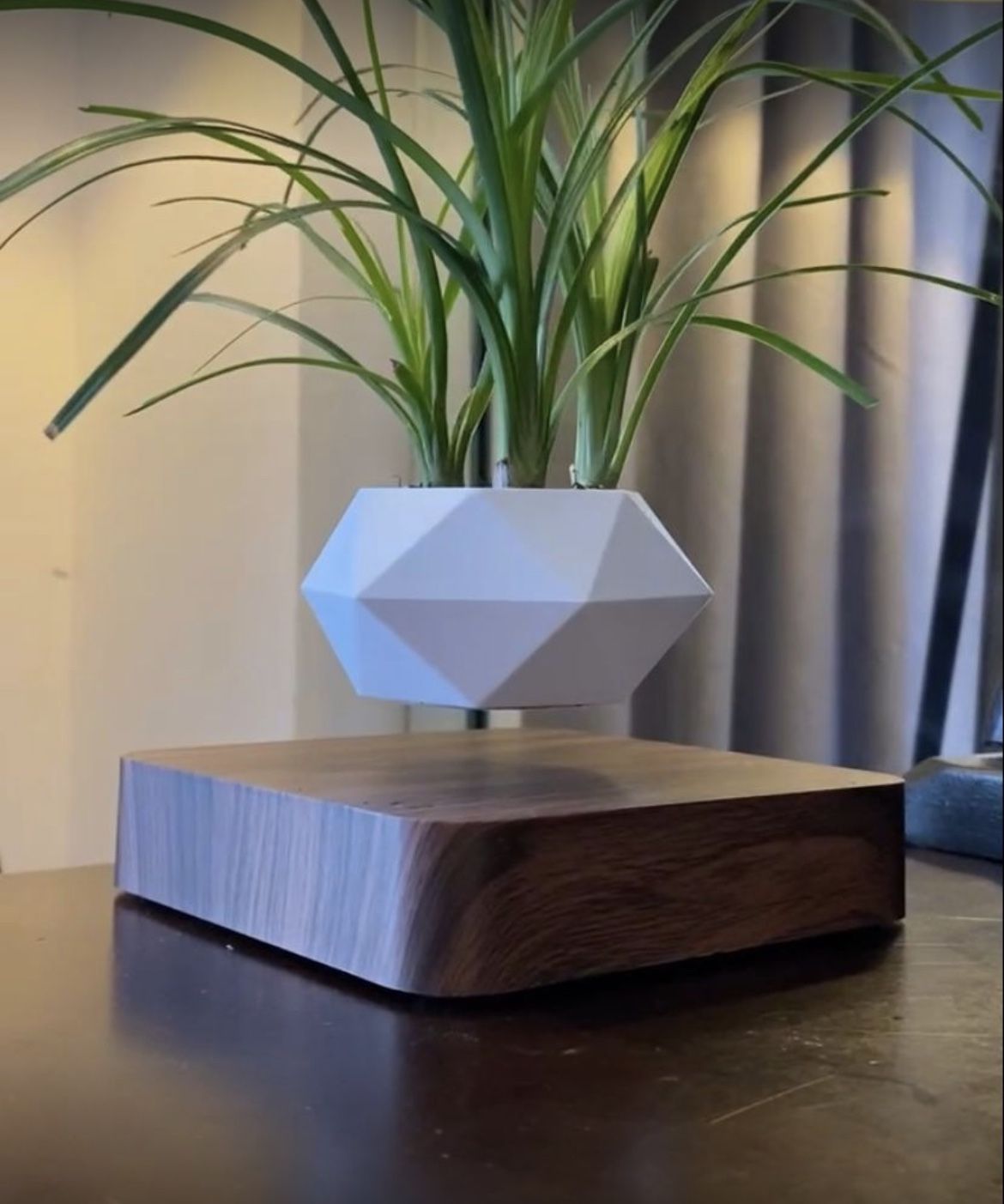 Levitating Bonsai Plant Pot