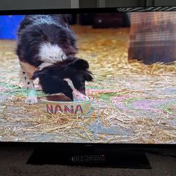 48" Sanyo 1080p LED TV