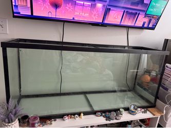 Large tank