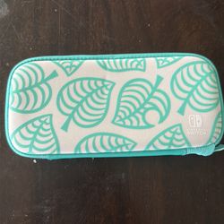 Nintendo Case