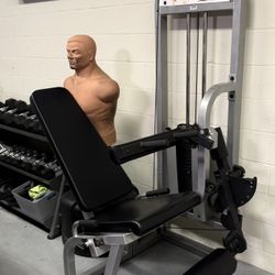 Dynamax Pro Leg And Hamstring Extension