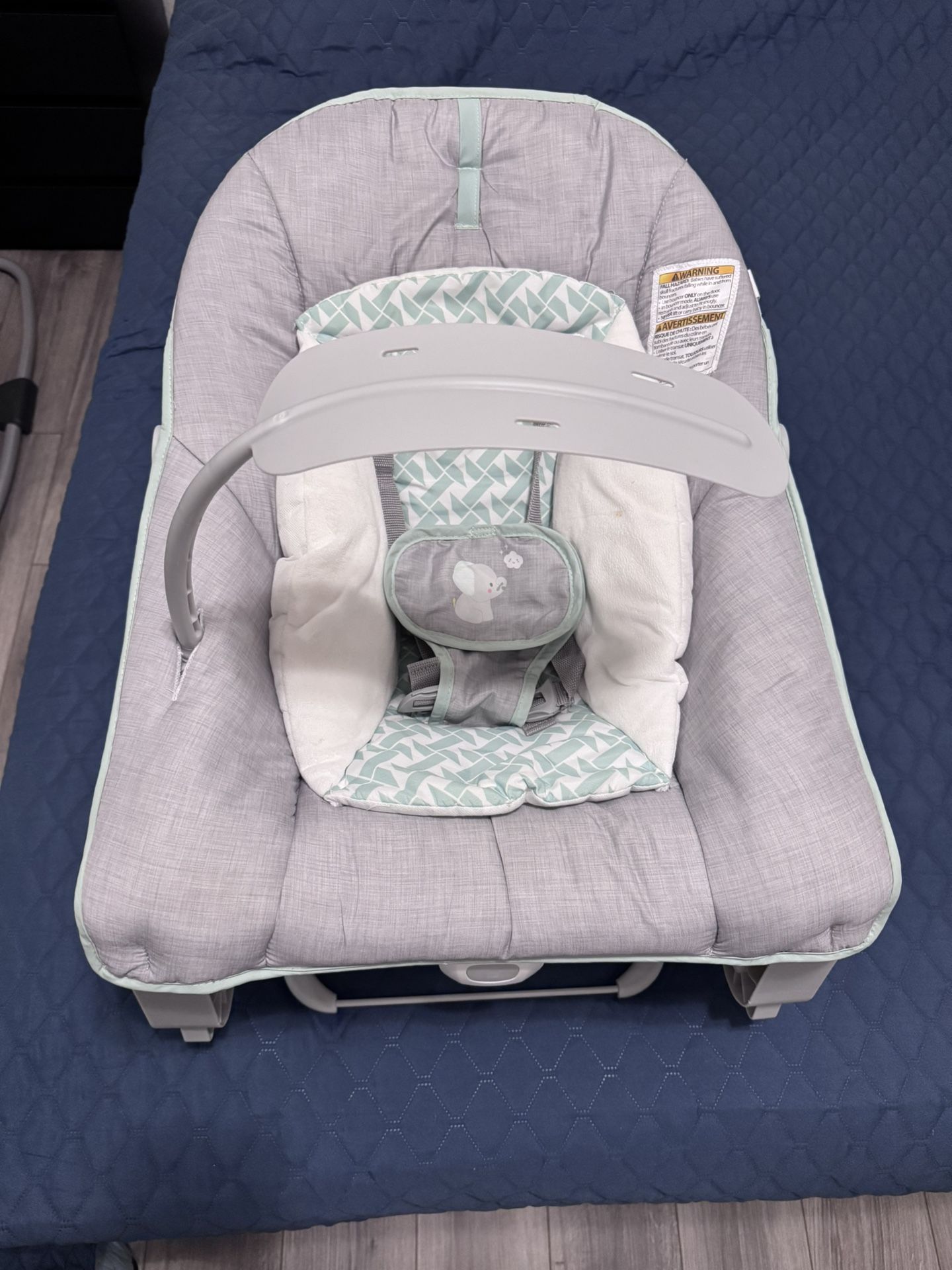 Ingenuity Baby Bouncer