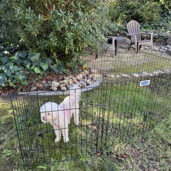 Petmate Pet/dog Metal Gate Playpen