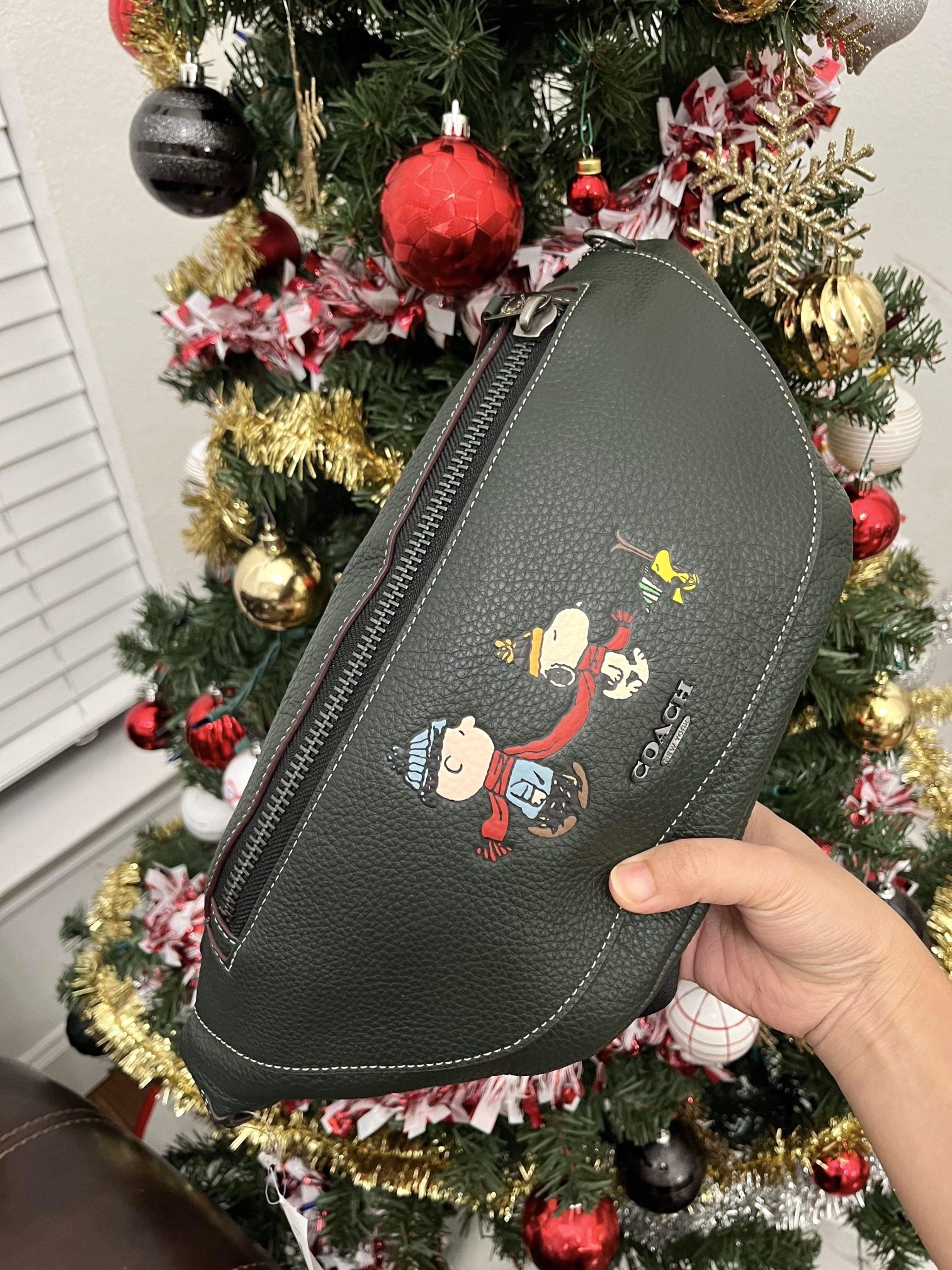 Coach X Peanuts Warren Belt Bag With Snoopy Motif