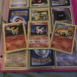 Added A Special Rapidash With The Ponytas 