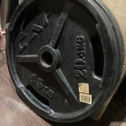 Olympic Rubber Wrapped Weight Plates For Your Home Gym