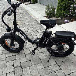 Wildway Electric Bike 
