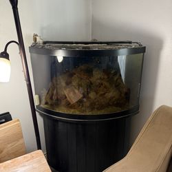 Fish Tank With Full Salt Water System 