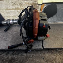 Echo Leaf Blower