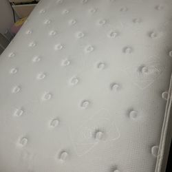 Sealy Pillowtop Mattress & Box spring (Queen Size) 