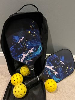 Pickleball Set (2 Paddles, 4 Balls, & Carrying Case)