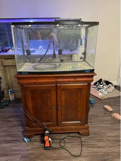Jebo Fish tank  60 Gallons.