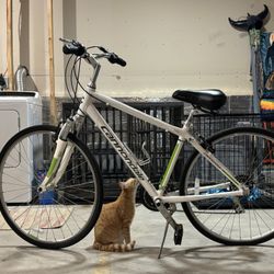 Cannondale