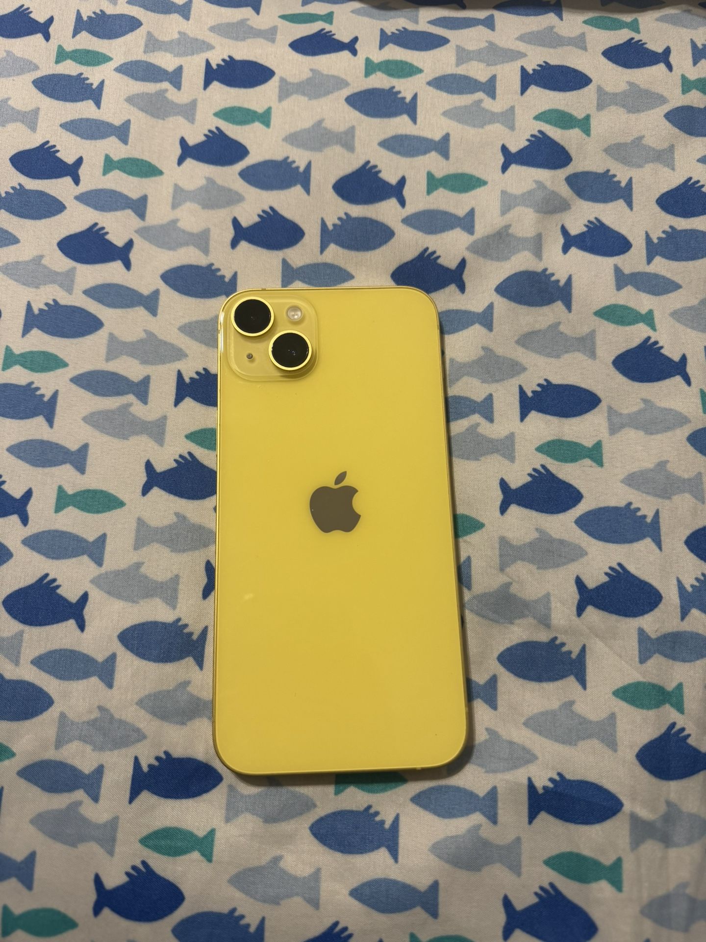 iPhone 14 Plus