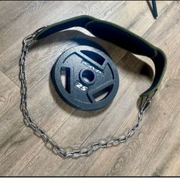 Seektop Weightlifting Dip Belt with a 25 lbs CAP  Weight Plate