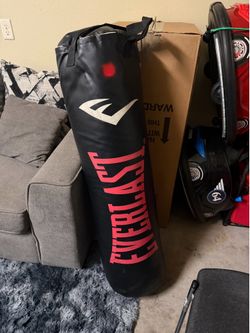Punching Bag (100lbs)