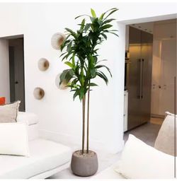 7 ft. Artificial Dracaena Tree with Real Touch Leaves Fake Floor Potted Artificial Plants
