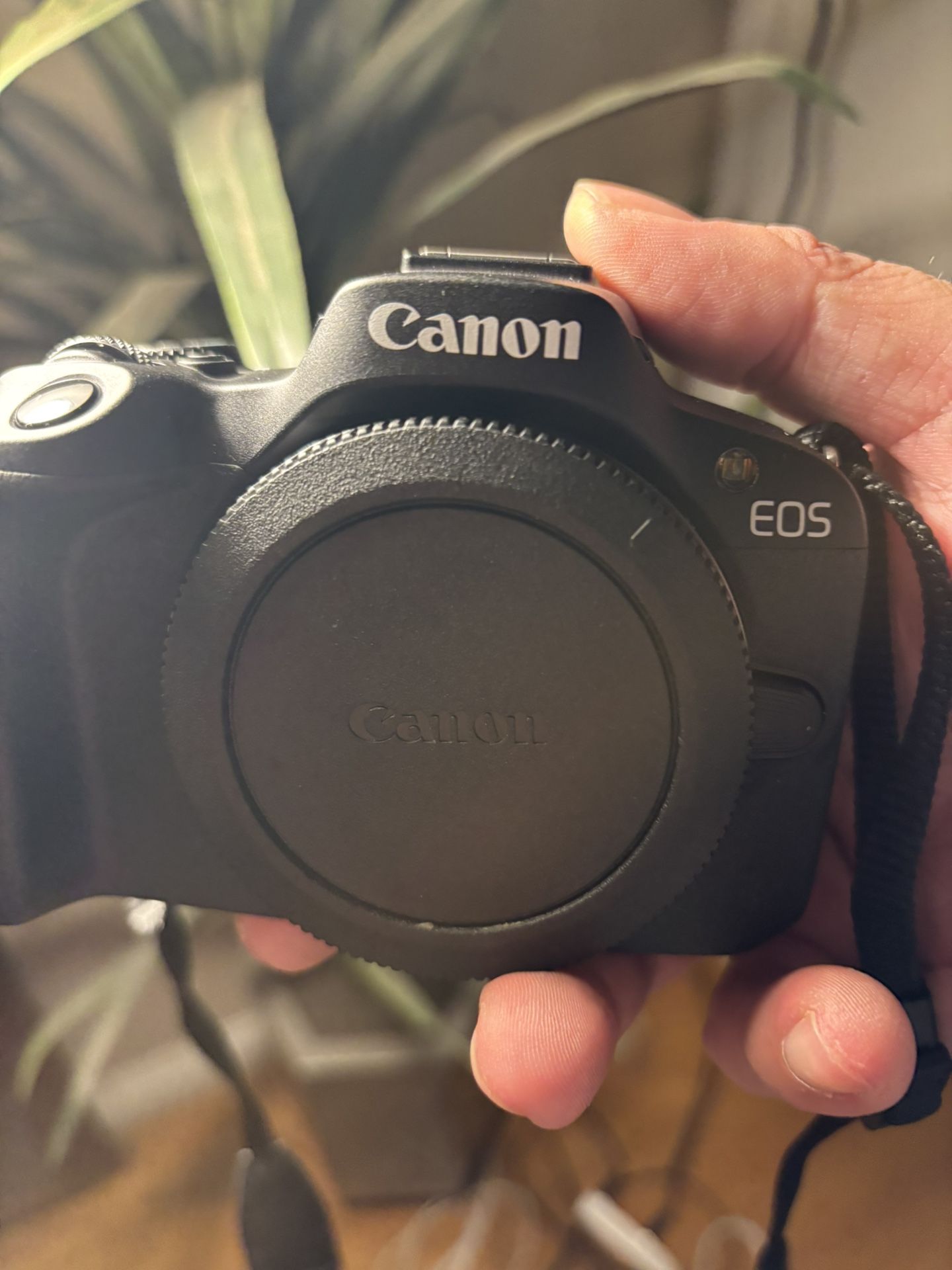 Canon R50 Mirrorless Camera Body Only