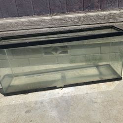 Fish Tank/ Water Tank/ Glass Enclosure 