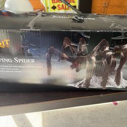 Halloween Jumping Spider