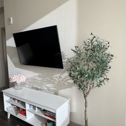 TV Unit And TV