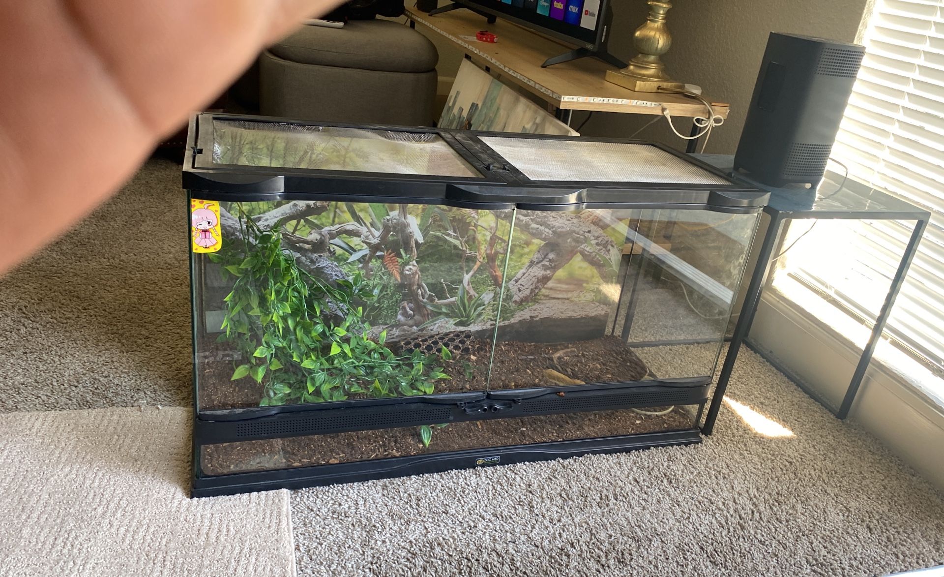 Reptile Tank