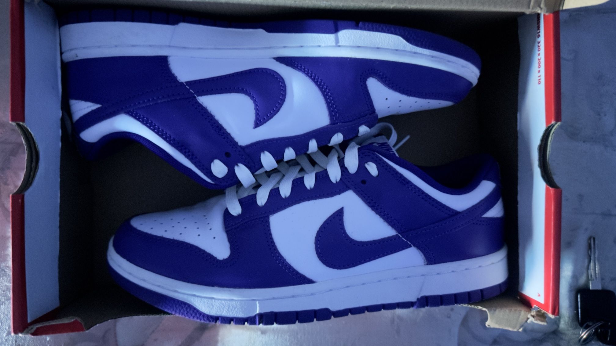 Purple Nike Dunks