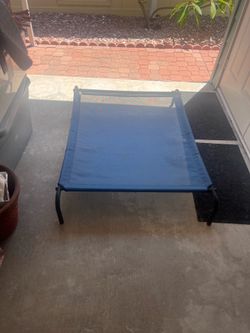 Elevated dog bed extra large
