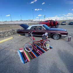 Lowrider Bike