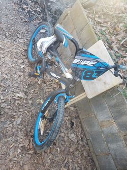 Kids 20" next Wipeout bike.