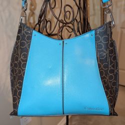 Calvin Klein Turquoise and Dark Brown Crossbody Bag