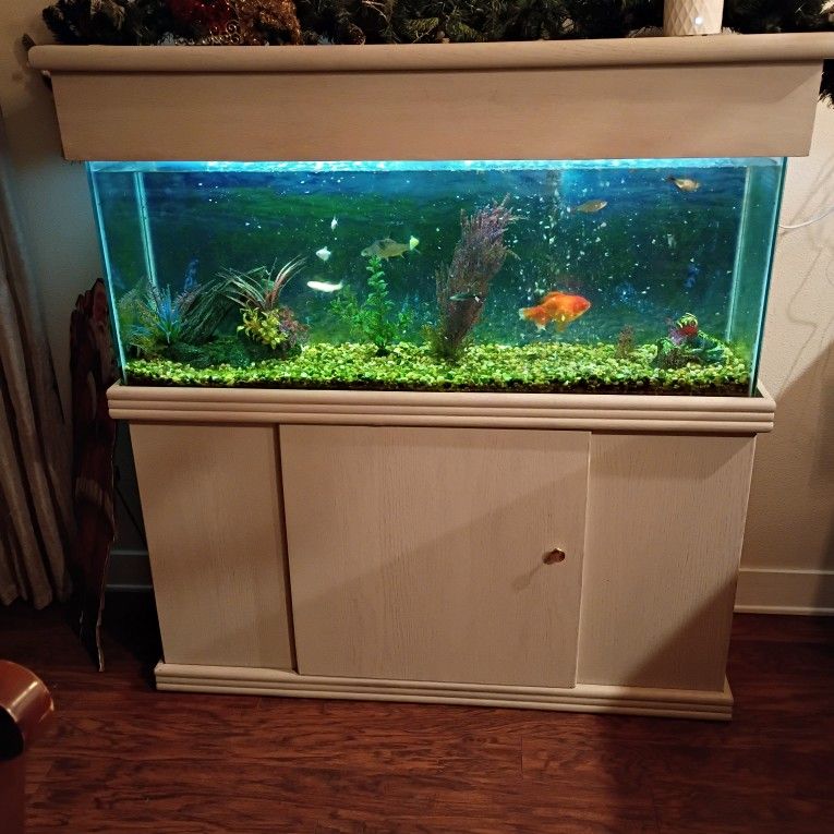 55 Gallon Fish Tank