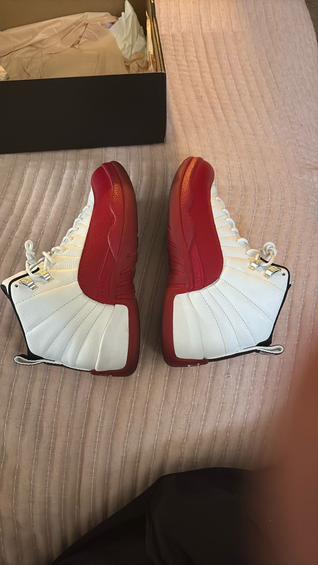 Jordan 12
