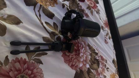 Black Condenser Microphone with Shock Mount