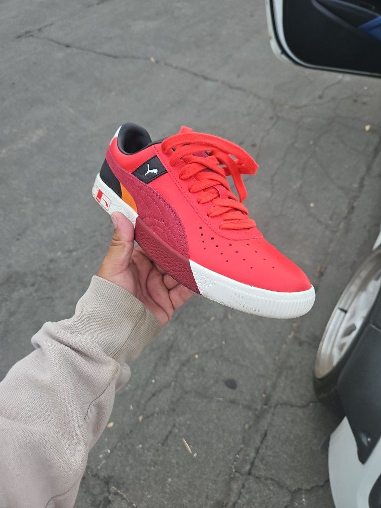 Pumas
