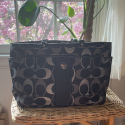 Large Coach Purse
