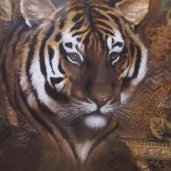 Very Large Picture And Frame Of Tiger $10 Good Condition