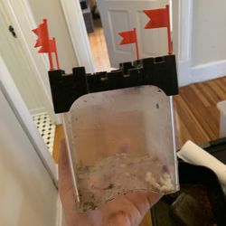 Betta Fish Tank!! $5!!