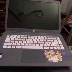 Hp Computer 