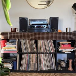 Ikea Kallax Shelf Unit Record Holder