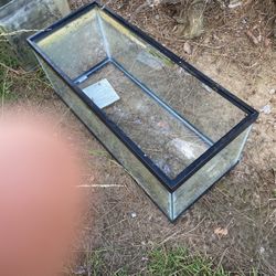 Multiple Aquariums For Sale