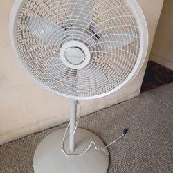 Lasko Fan 