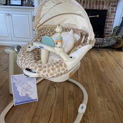 Baby Swing (paid $300)