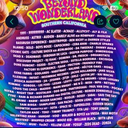 Beyond Wonderland Friday