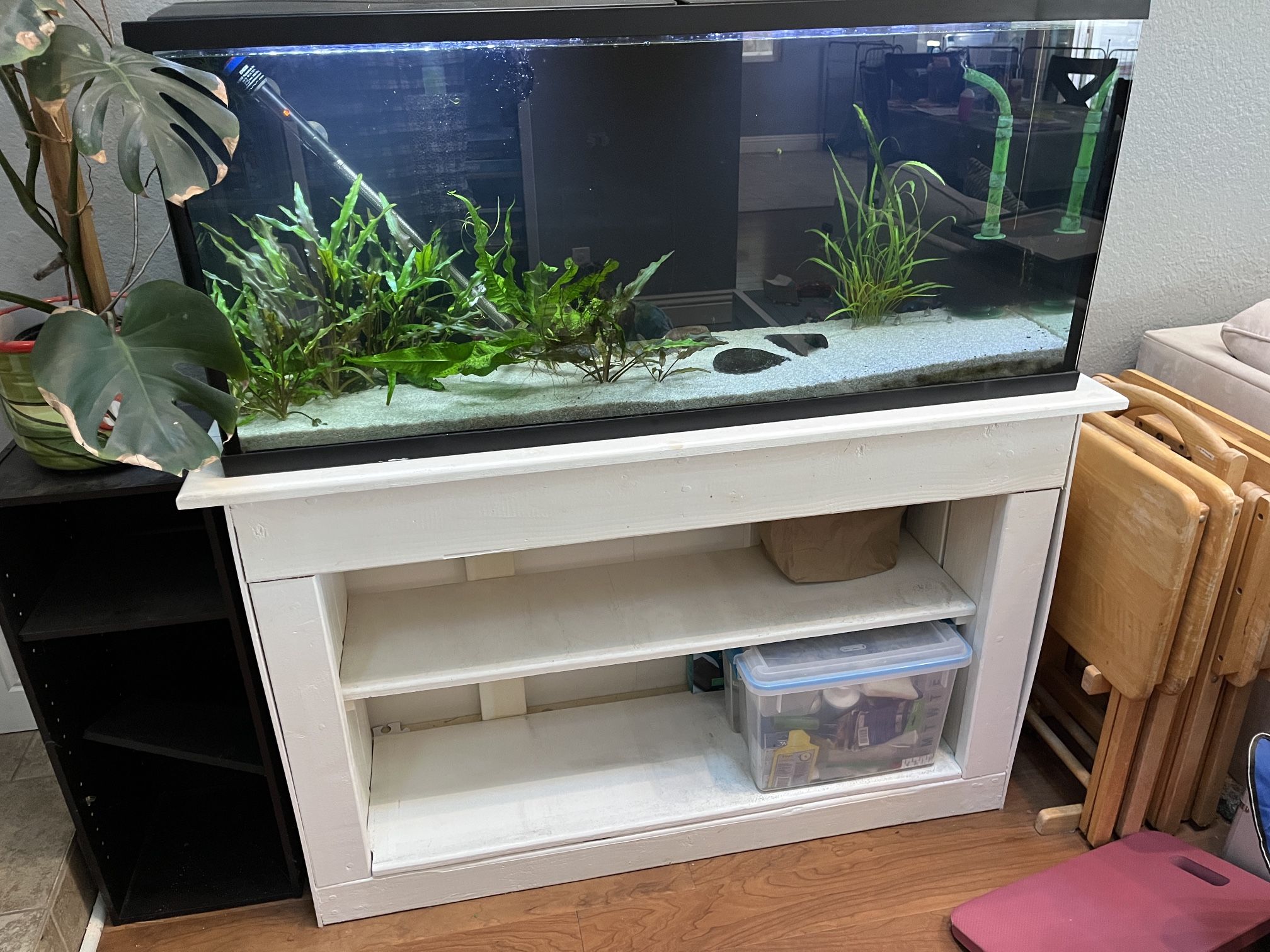 55 Gallon Fish Tank With Stand
