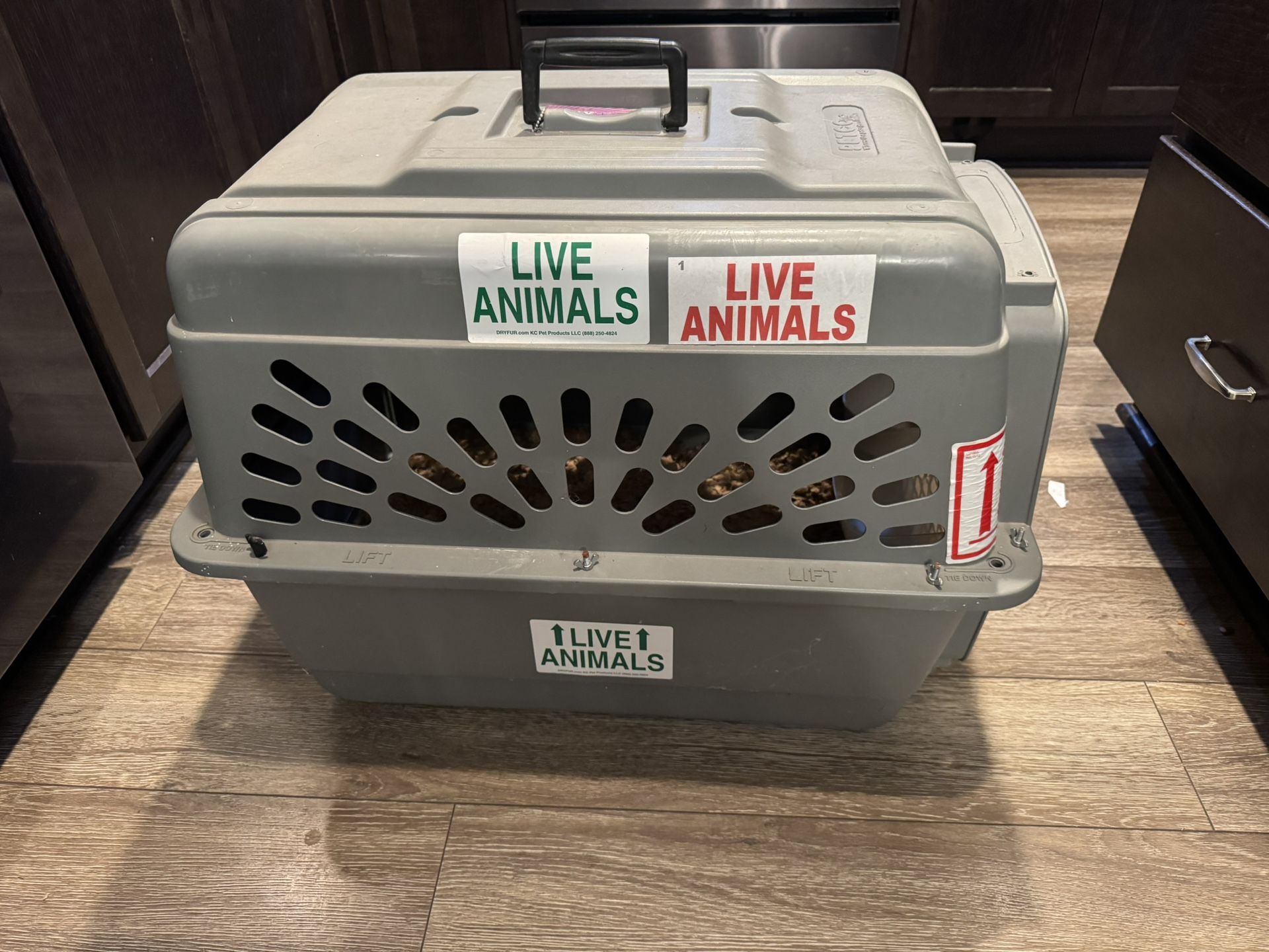 Dog Kennel