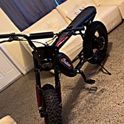  Bicicleta Eléctrica 