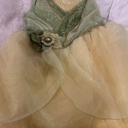 Disney Princess In The Frog Costume 